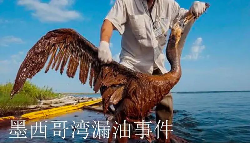 被海上溢油“染黑”的海岸线快3平台环保热解技术助力守护海洋生命线